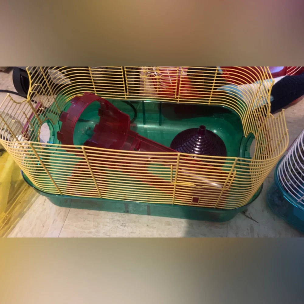 Hamster cages